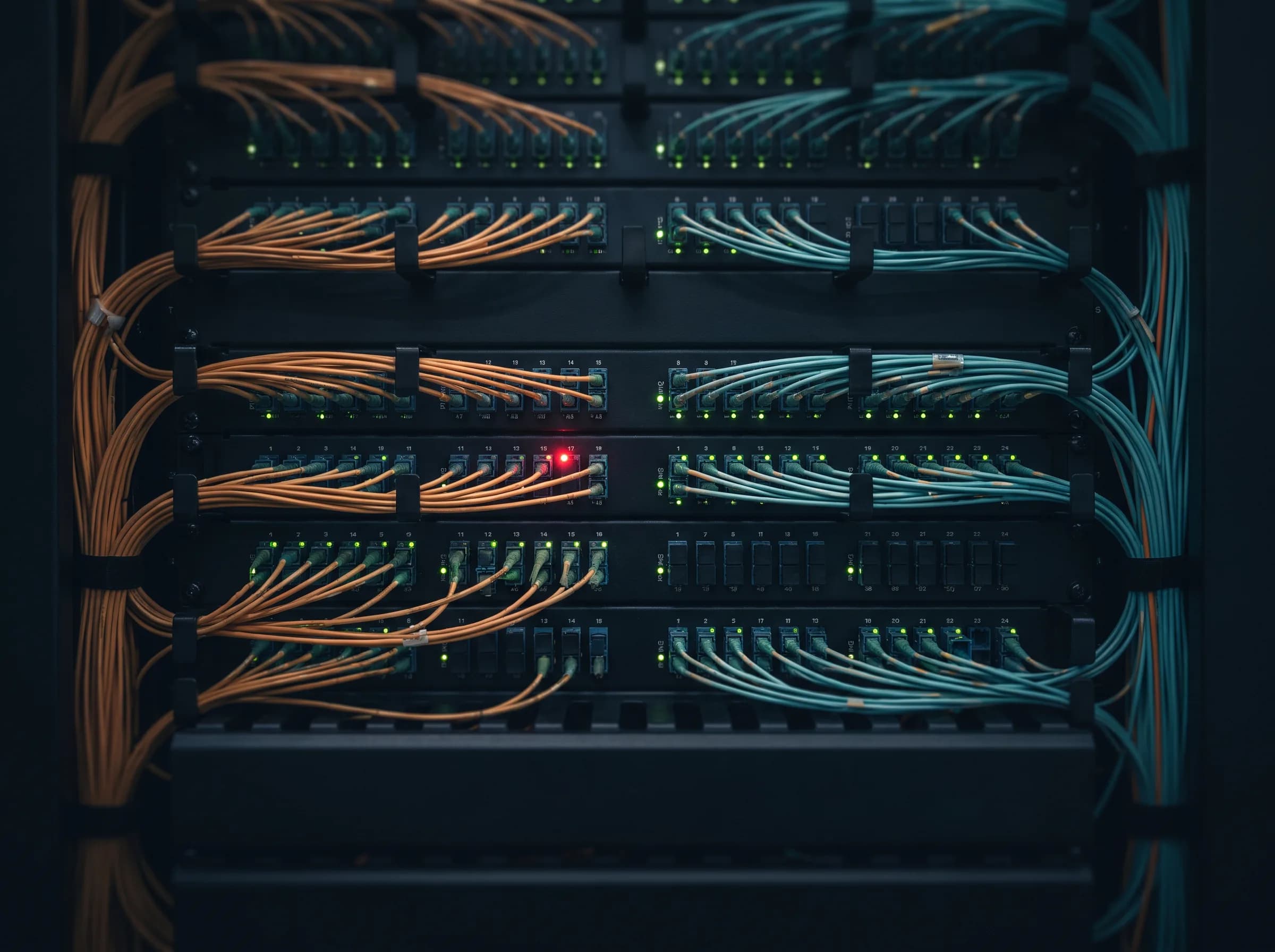 Fiber optic patch panels with organized cable runs